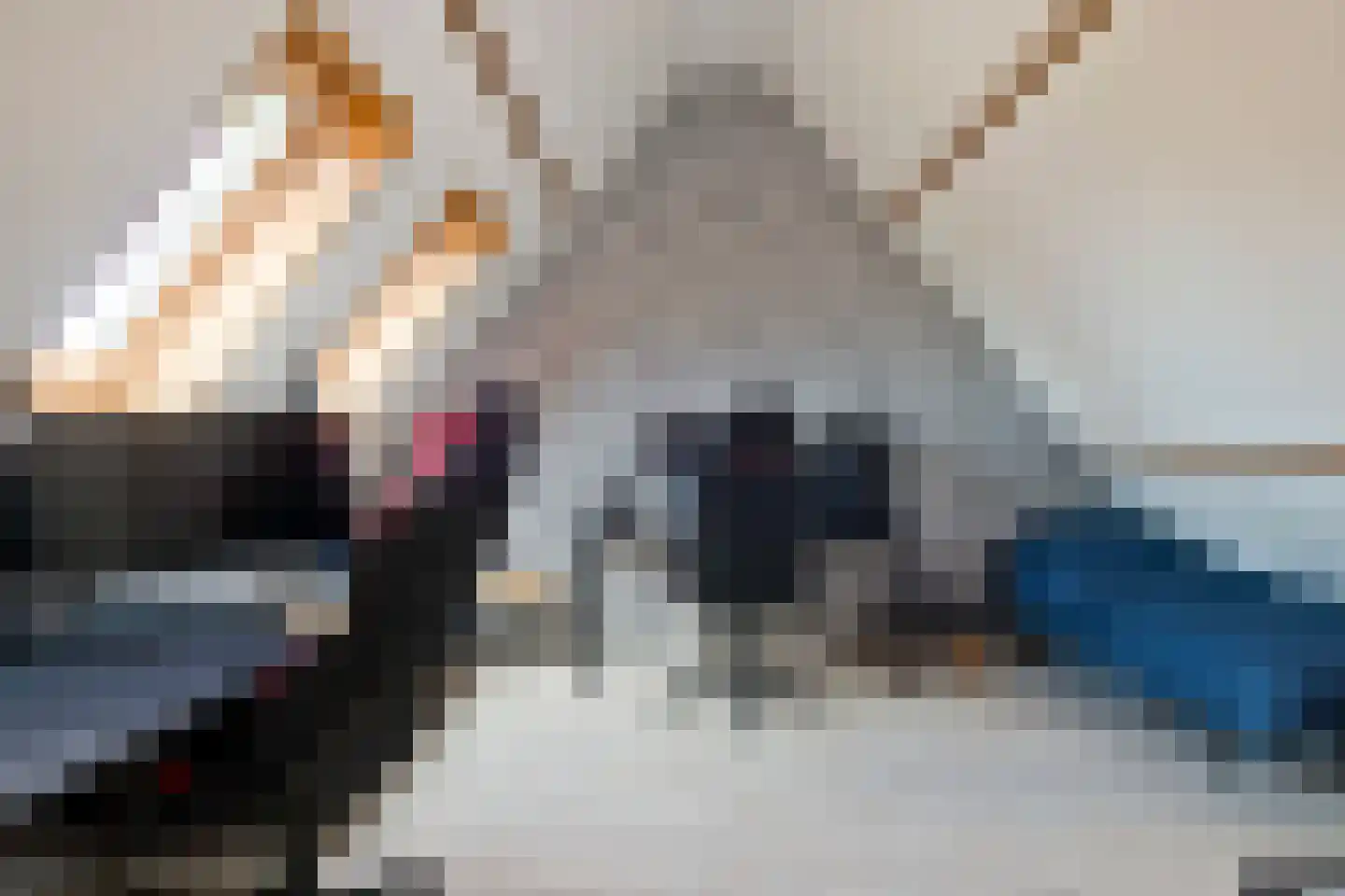 't Slag 4 Westervoort thumbnail 38