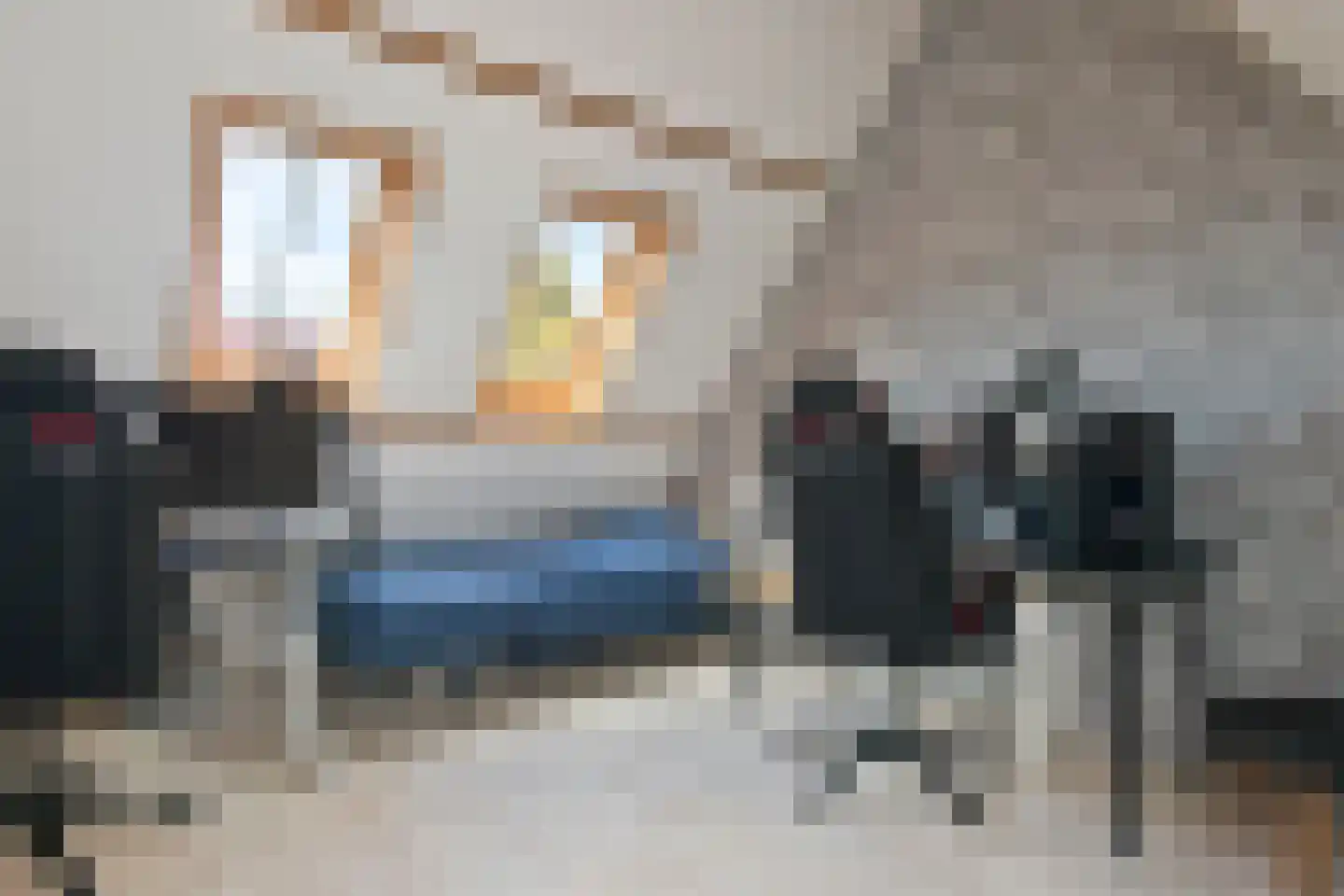 't Slag 4 Westervoort thumbnail 39