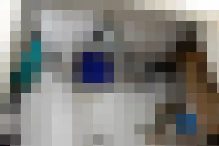 't Slotje 19 Wijchen thumbnail 15