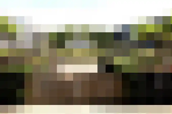 't Slotje 19 Wijchen thumbnail 20