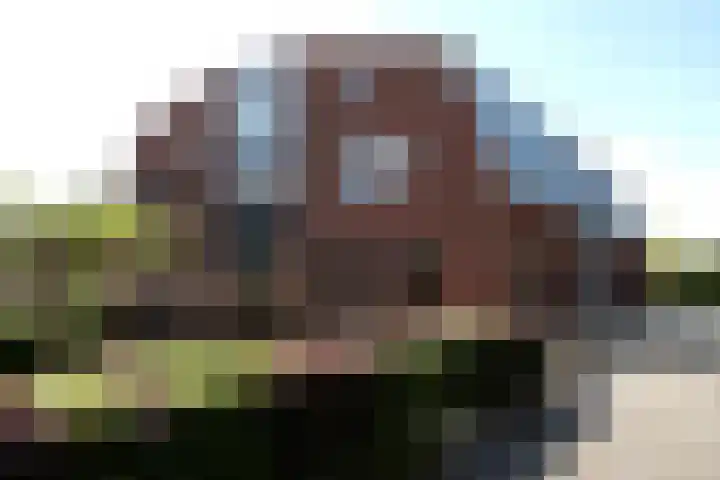 't Slotje 19 Wijchen thumbnail 21