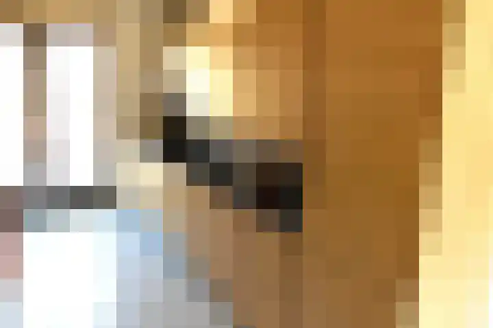 't Slotje 19 Wijchen thumbnail 5