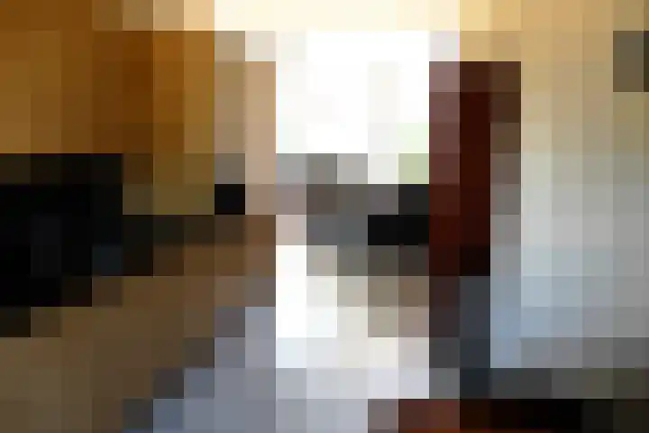 't Slotje 19 Wijchen thumbnail 7