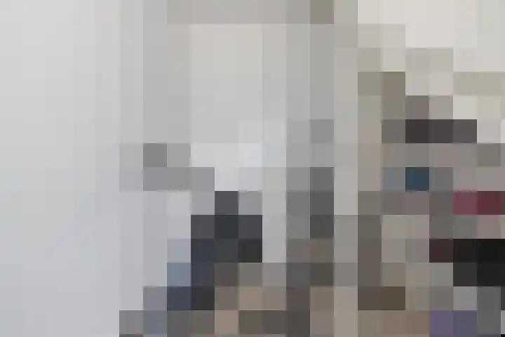 't Slotje 49 Wijchen thumbnail 11