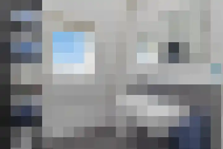 't Slotje 49 Wijchen thumbnail 31
