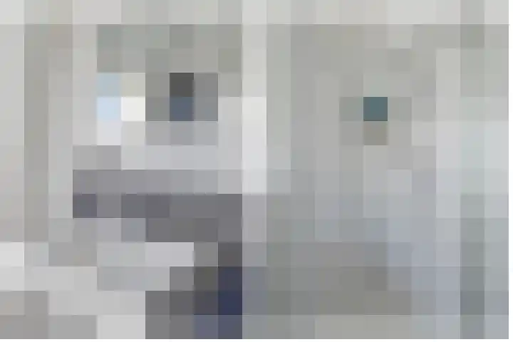 't Slotje 49 Wijchen thumbnail 33