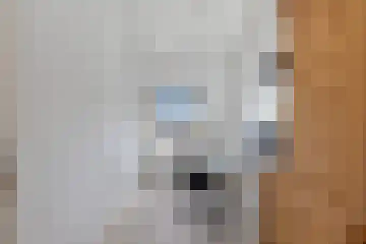 't Slotje 49 Wijchen thumbnail 34