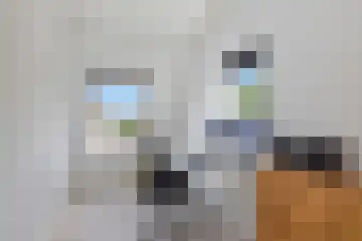 't Slotje 49 Wijchen thumbnail 35