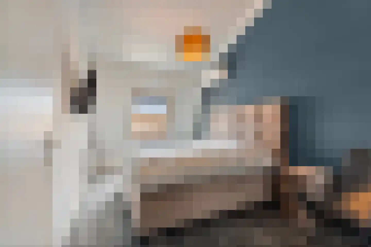 't Slotje 59 Wijchen thumbnail 25