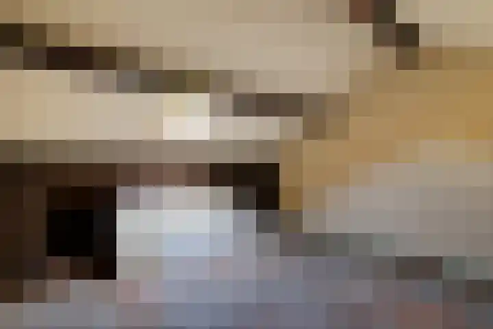 't Soerd 37 Roswinkel thumbnail 13
