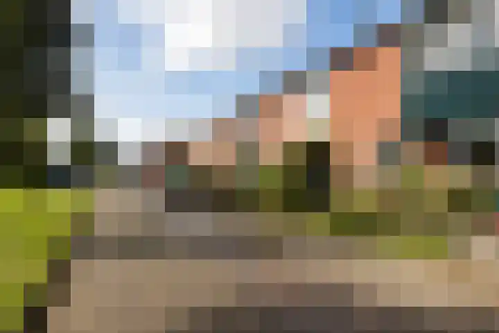 't Soerd 37 Roswinkel thumbnail 17