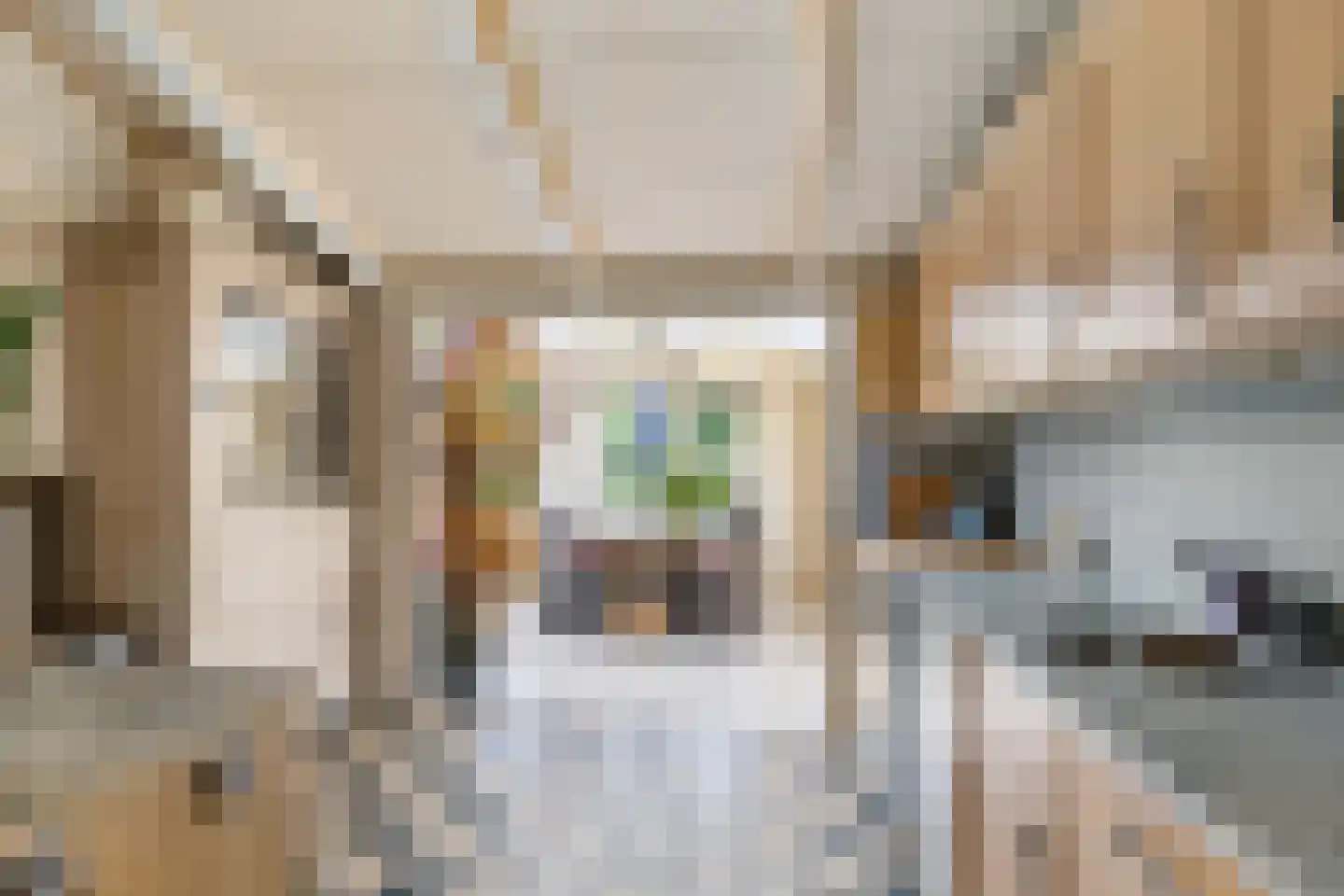 't Sou 11 Warns thumbnail 11