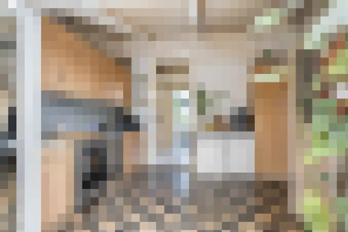 't Sou 11 Warns thumbnail 13