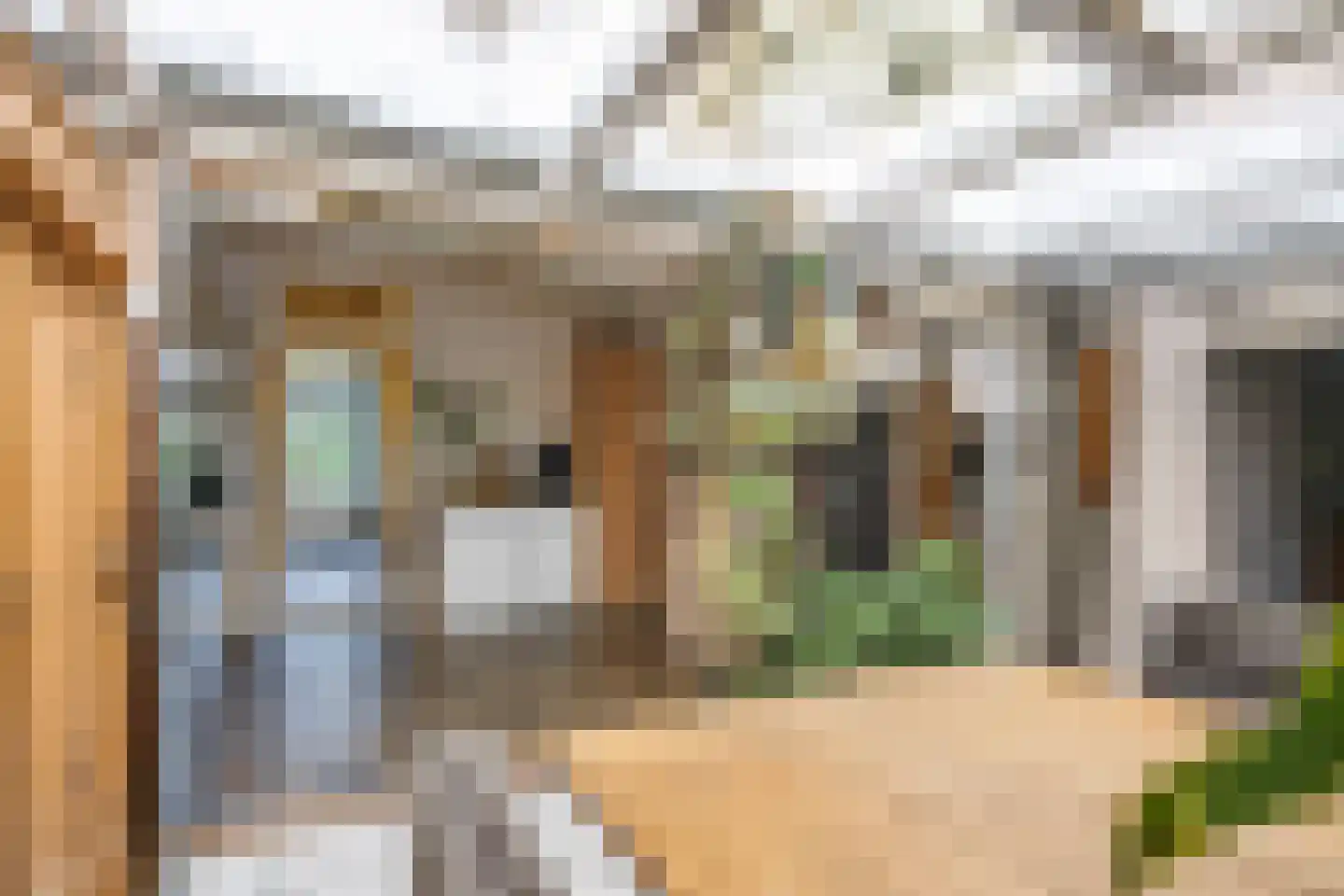 't Sou 11 Warns thumbnail 14