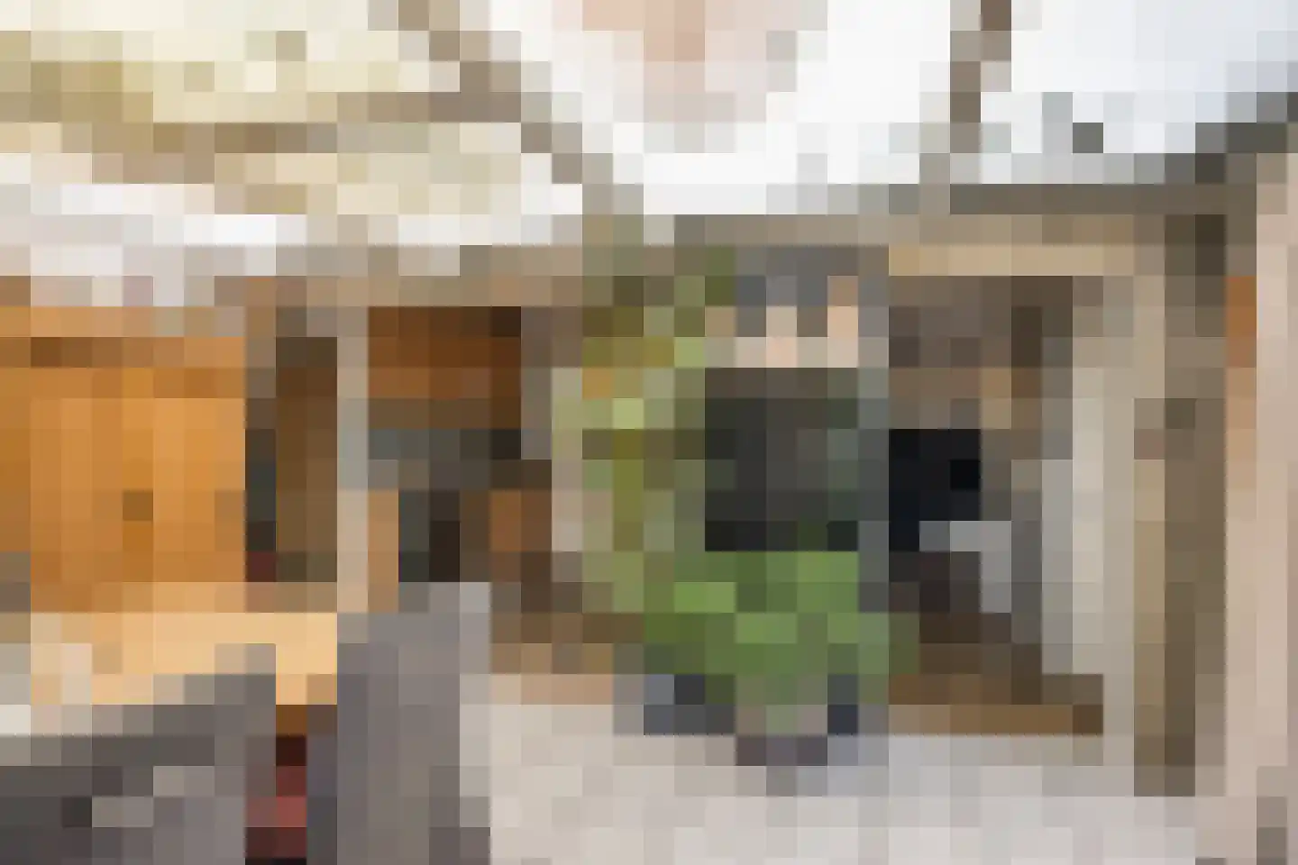 't Sou 11 Warns thumbnail 15