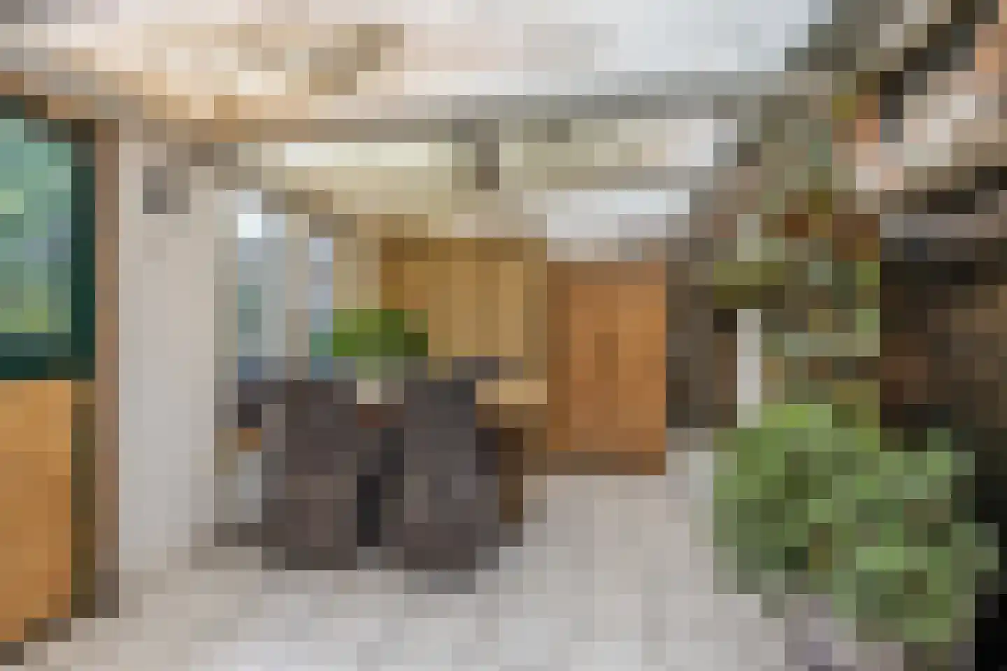 't Sou 11 Warns thumbnail 17