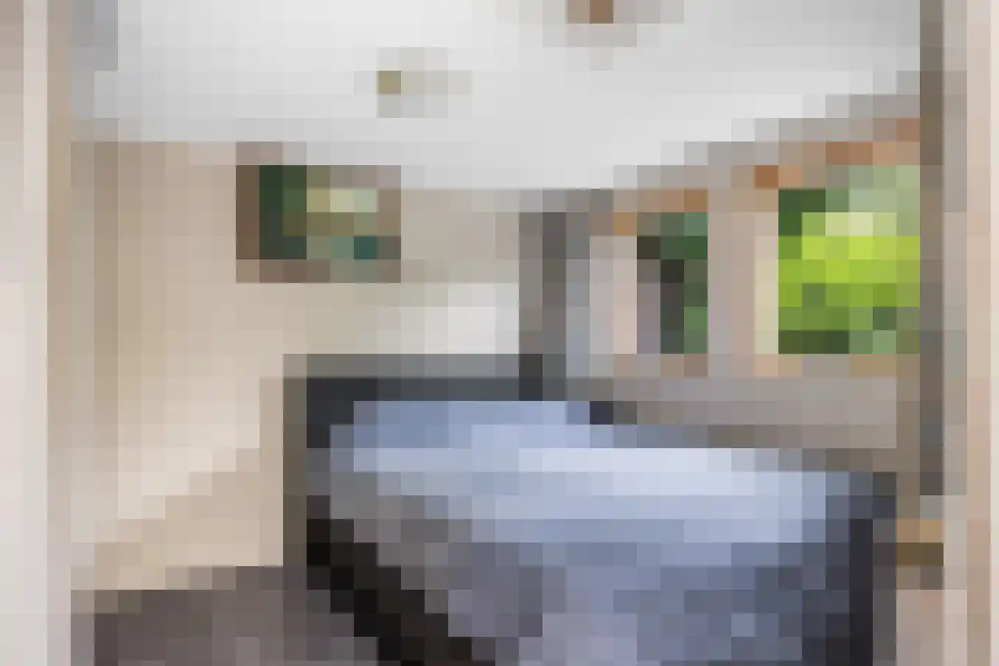 't Sou 11 Warns thumbnail 20