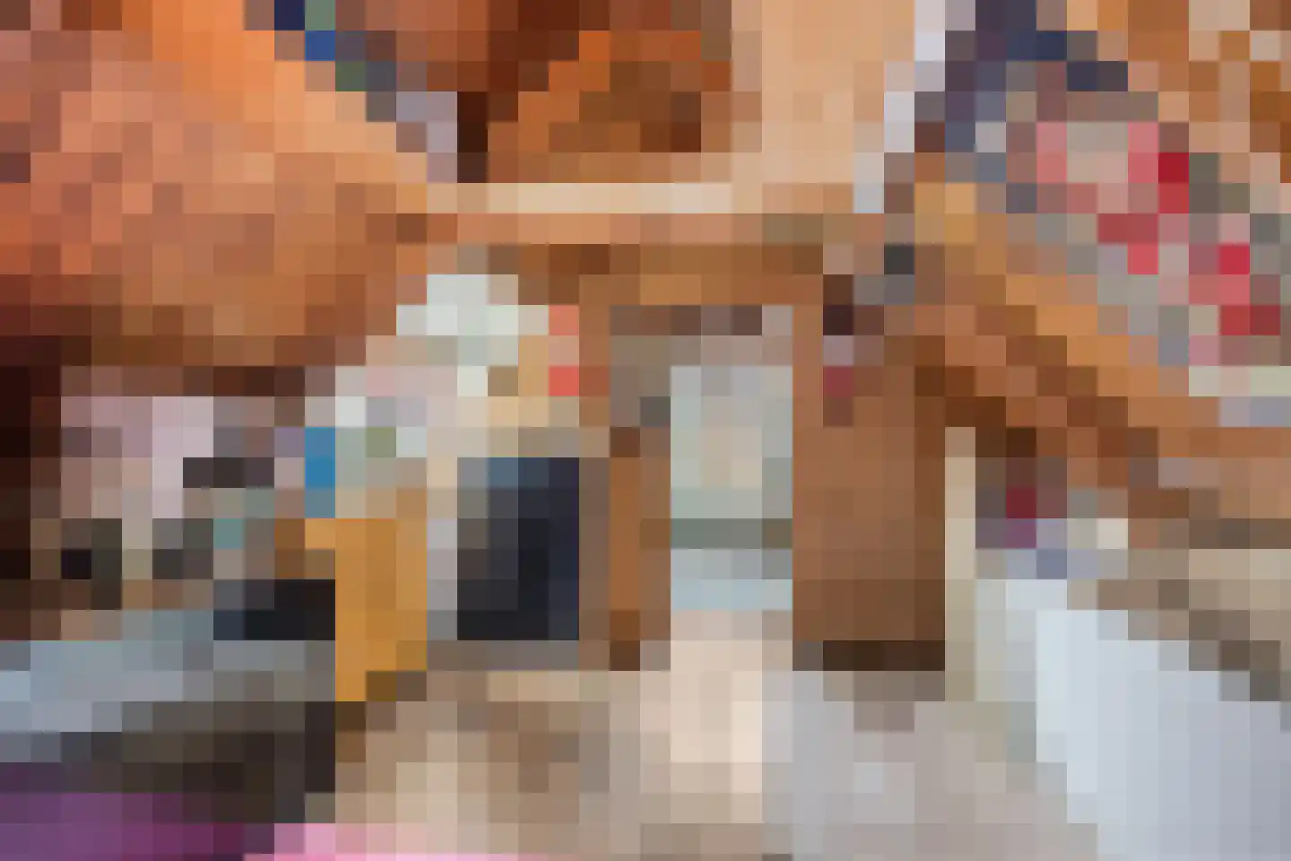 't Sou 11 Warns thumbnail 24