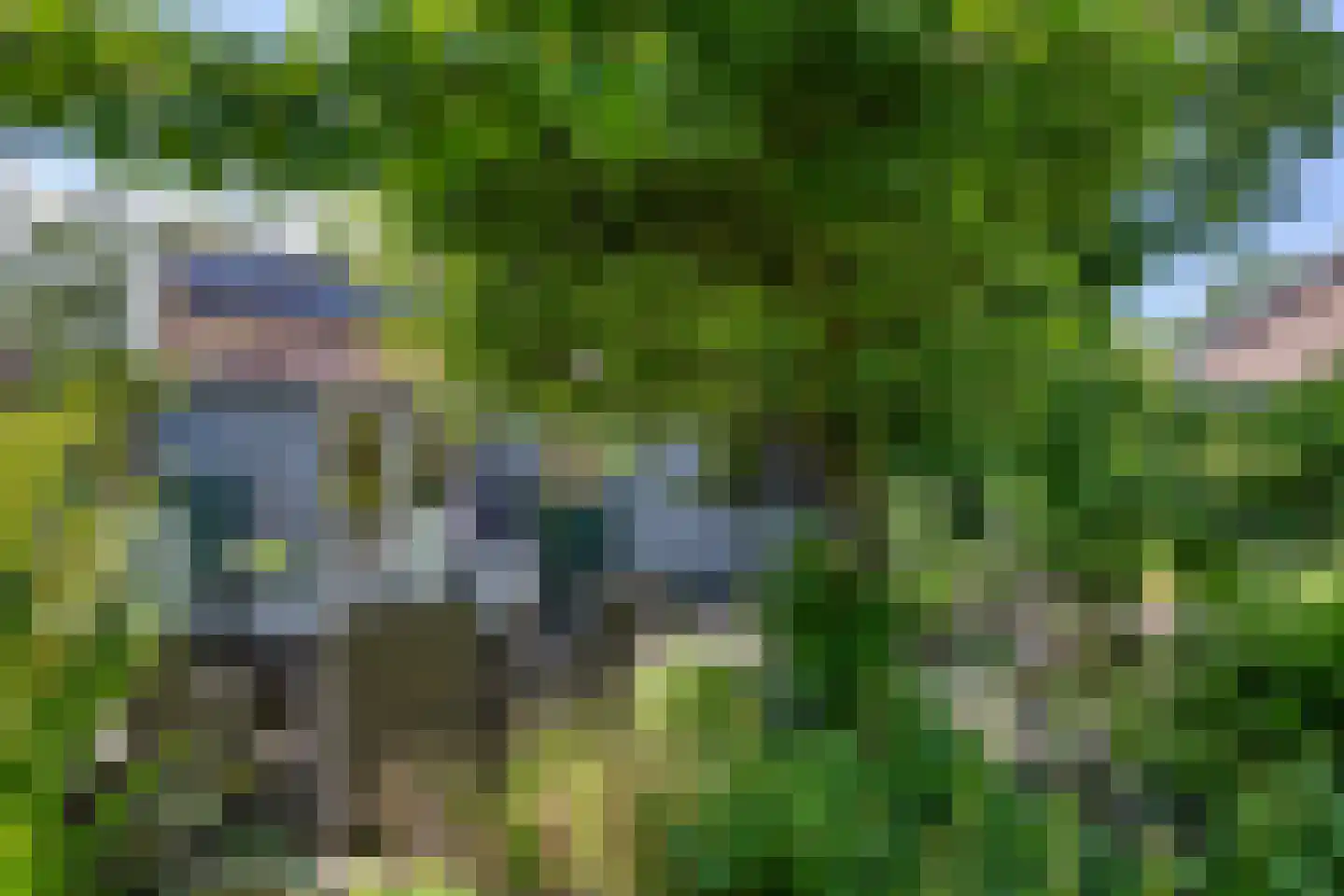 't Sou 11 Warns thumbnail 29