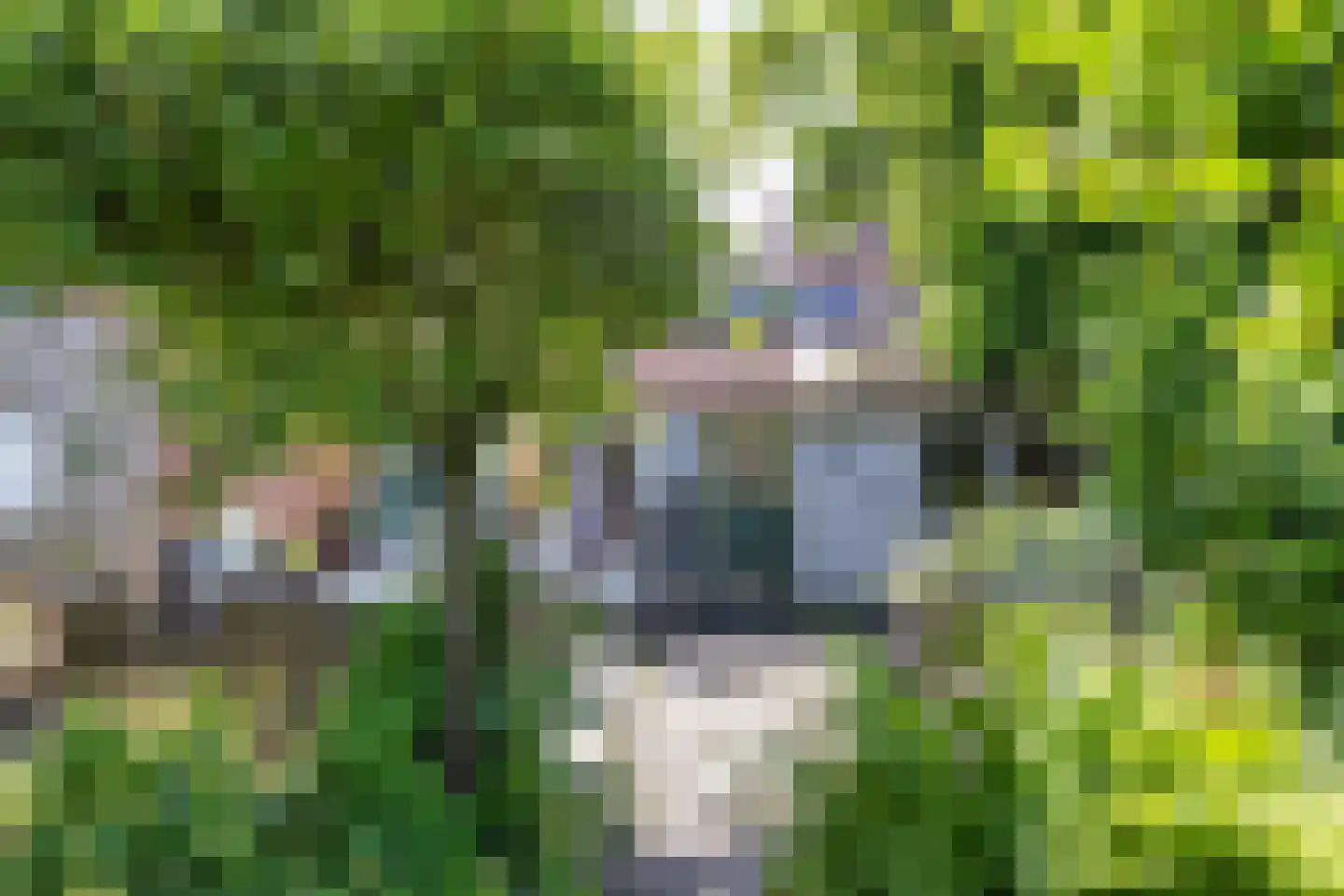 't Sou 11 Warns thumbnail 30