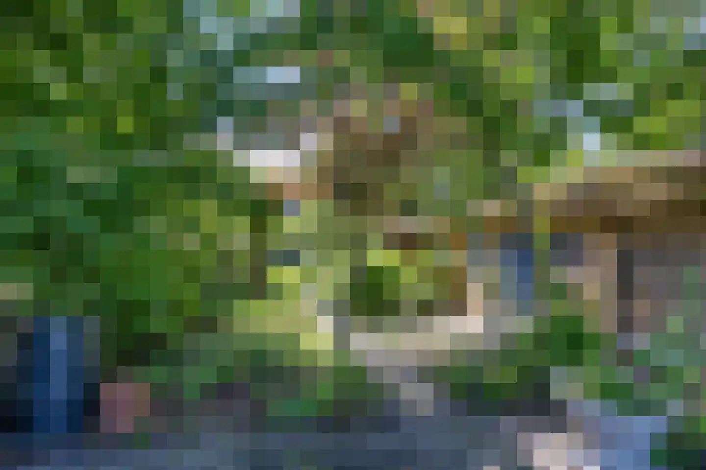 't Sou 11 Warns thumbnail 34