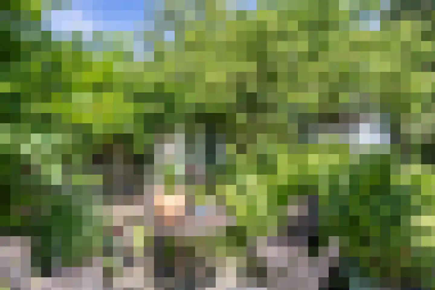 't Sou 11 Warns thumbnail 35