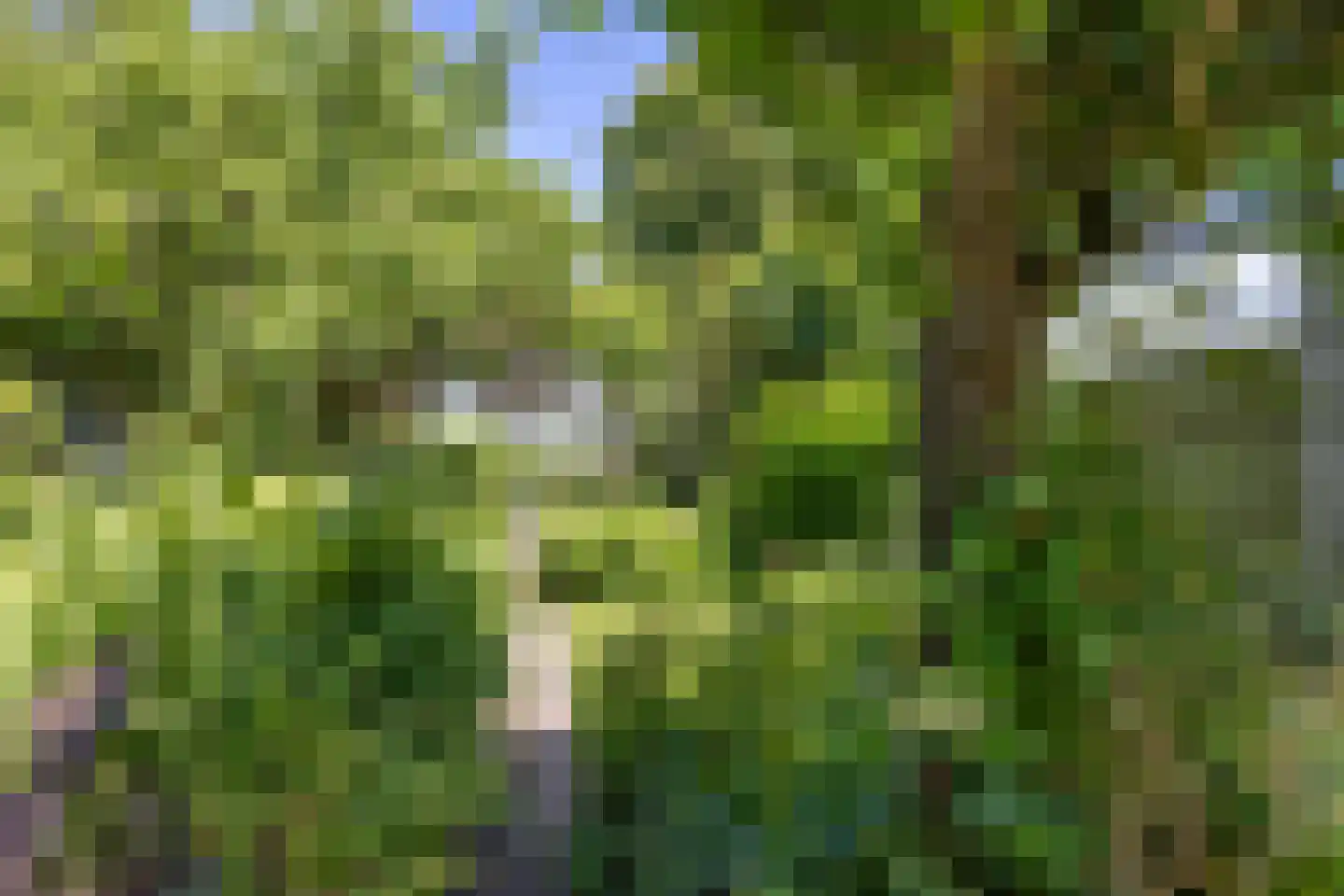 't Sou 11 Warns thumbnail 36
