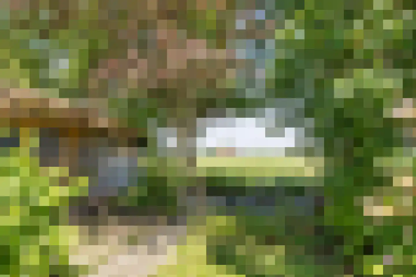 't Sou 11 Warns thumbnail 37