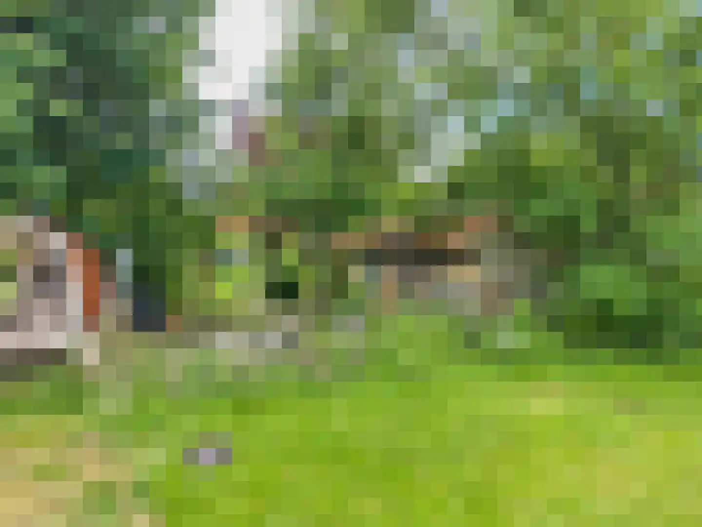 't Sou 11 Warns thumbnail 39