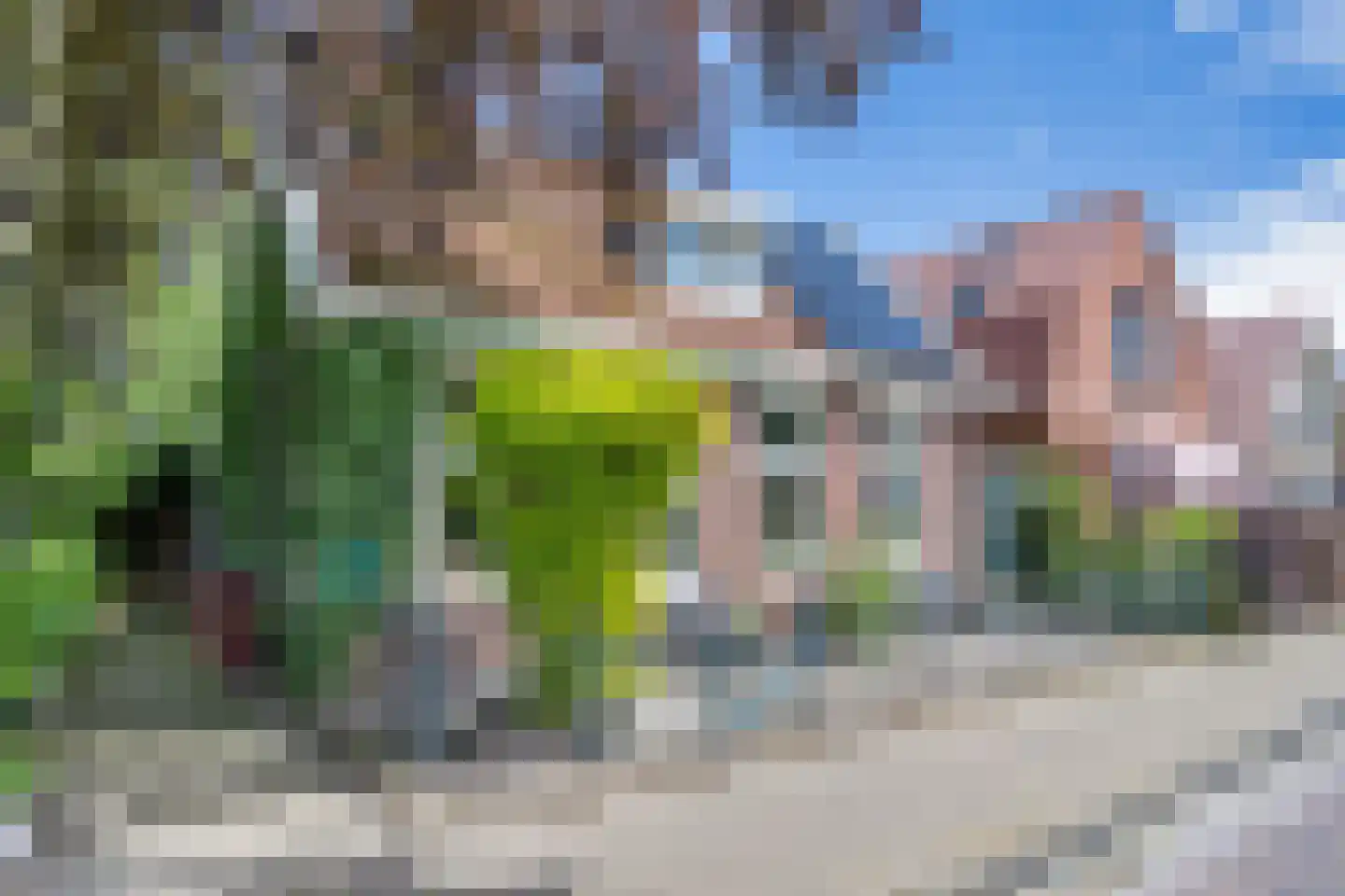 't Sou 11 Warns thumbnail 4