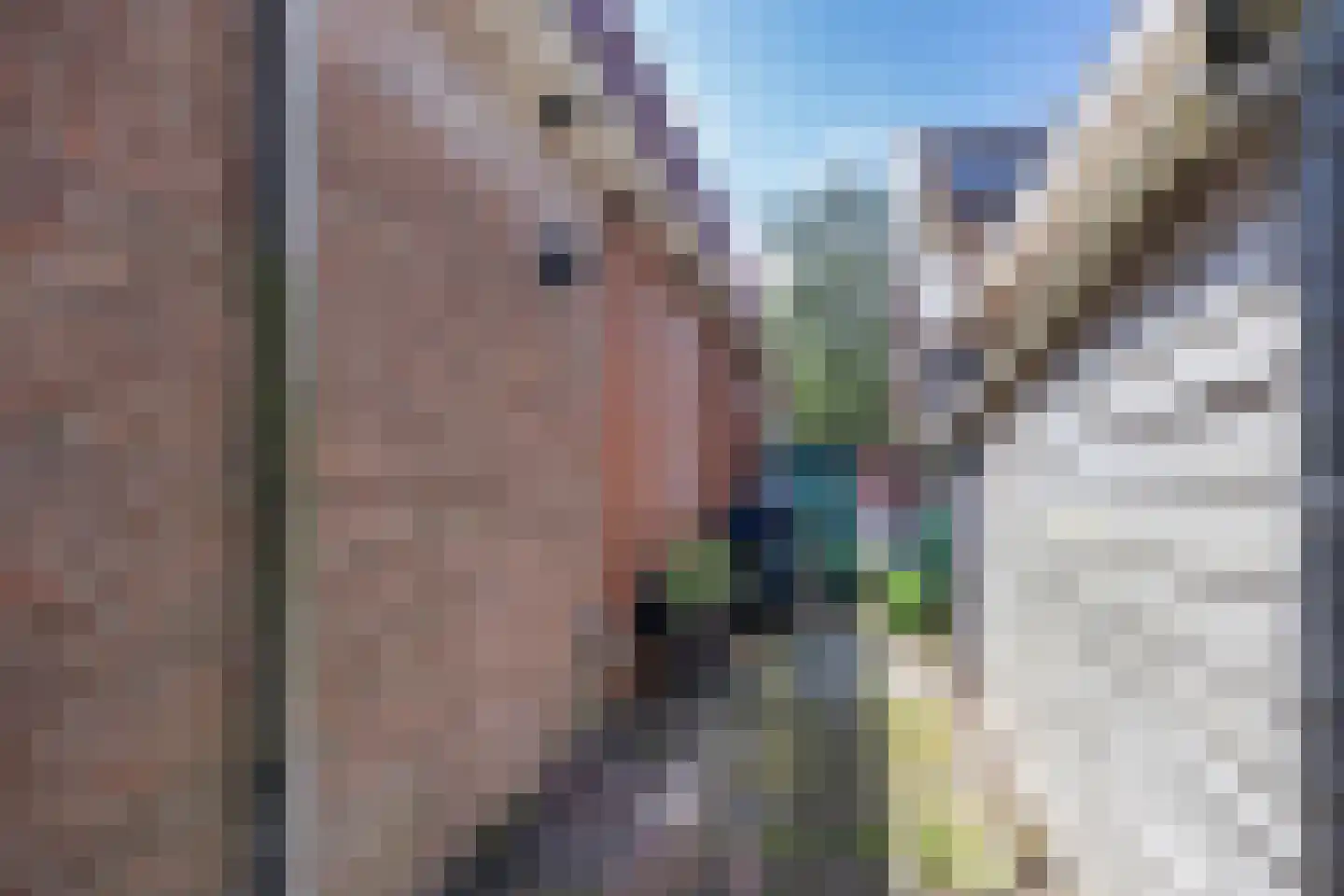 't Sou 11 Warns thumbnail 40