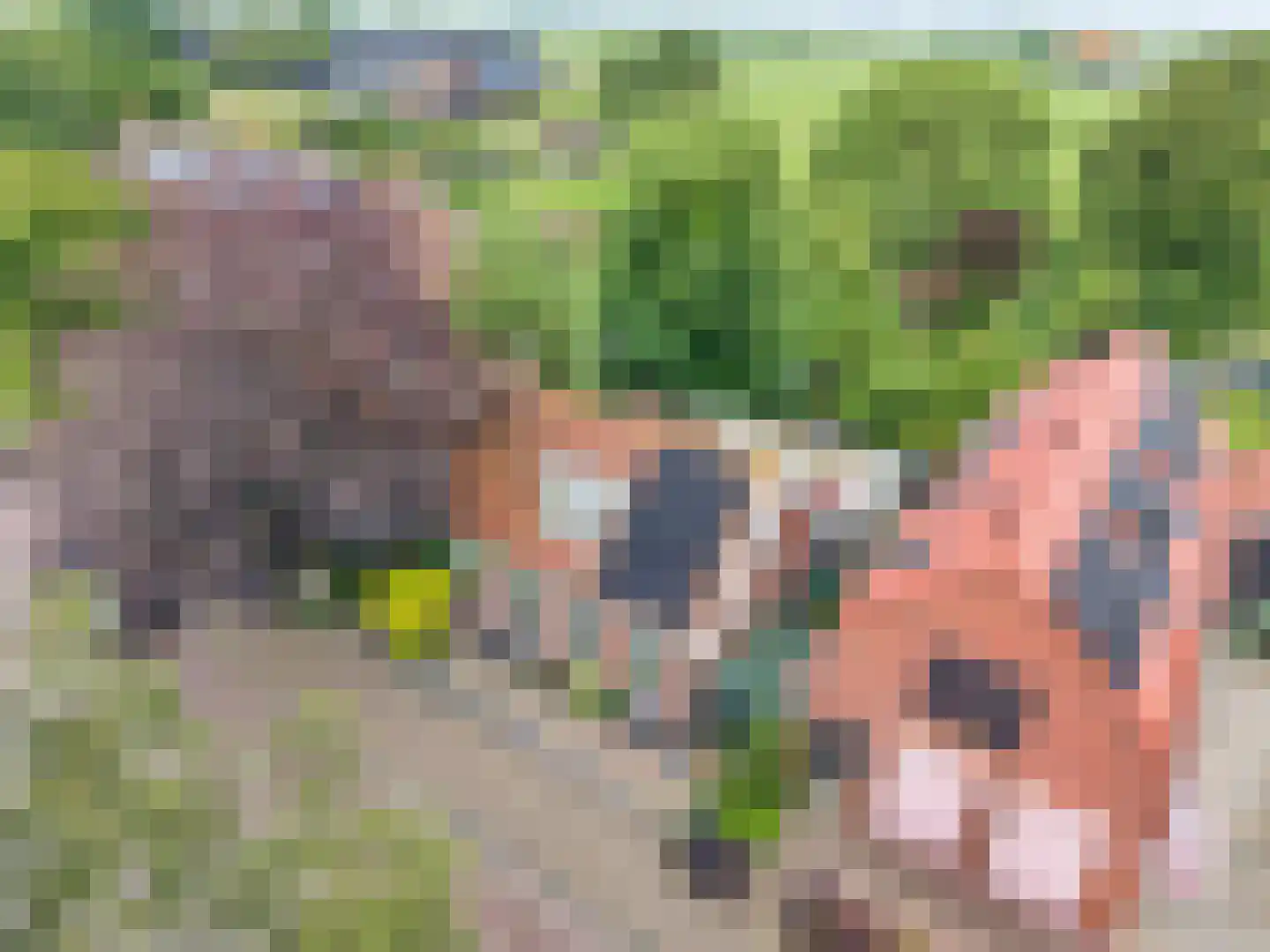 't Sou 11 Warns thumbnail 42