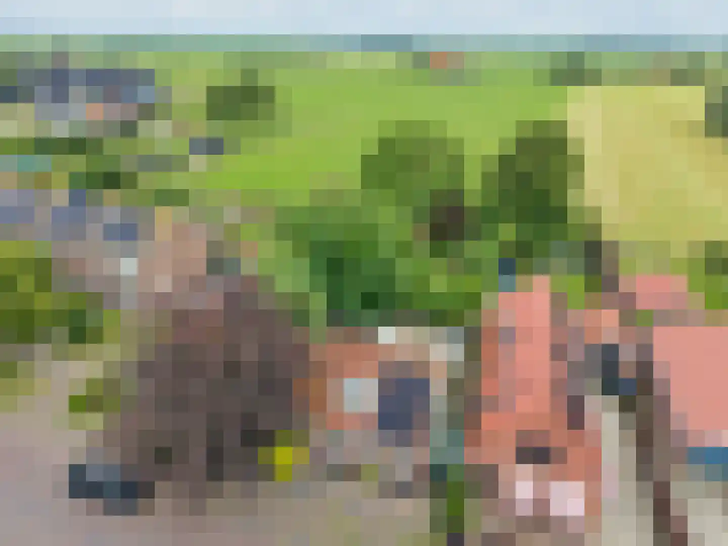't Sou 11 Warns thumbnail 43