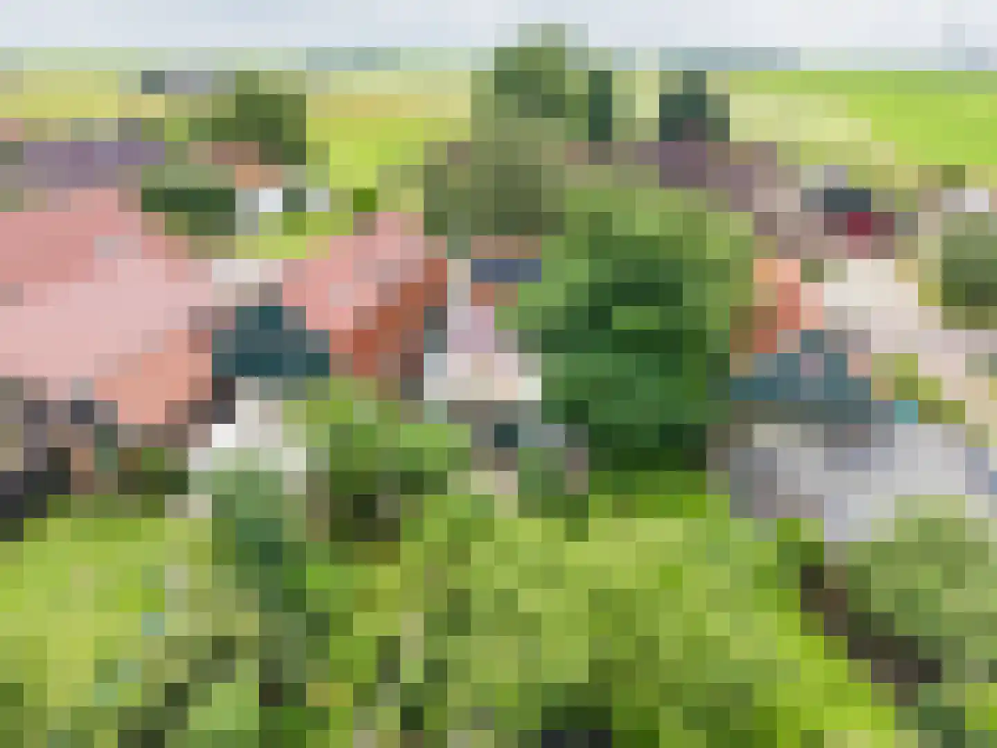 't Sou 11 Warns thumbnail 44