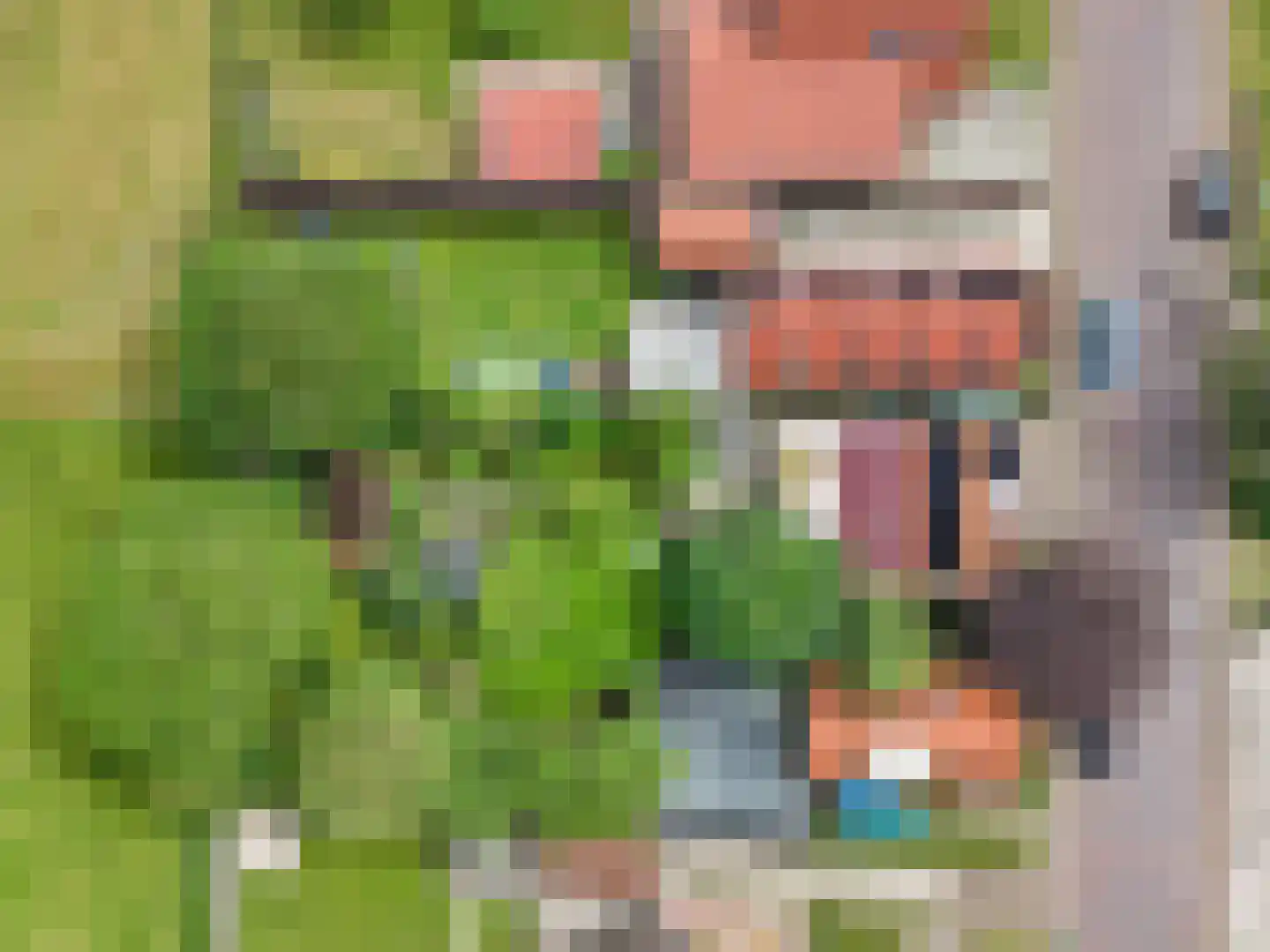 't Sou 11 Warns thumbnail 45