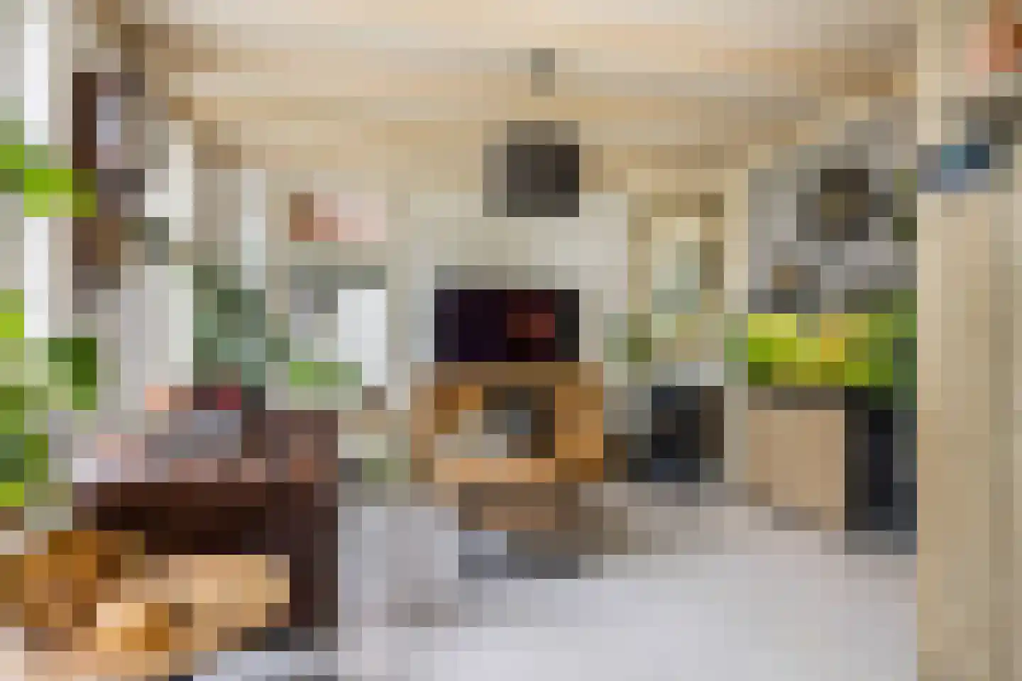 't Sou 11 Warns thumbnail 6