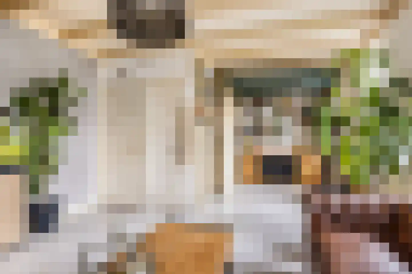 't Sou 11 Warns thumbnail 8