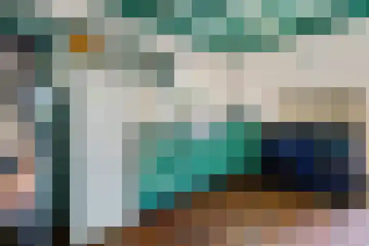 't Sou 44 Warns thumbnail 12