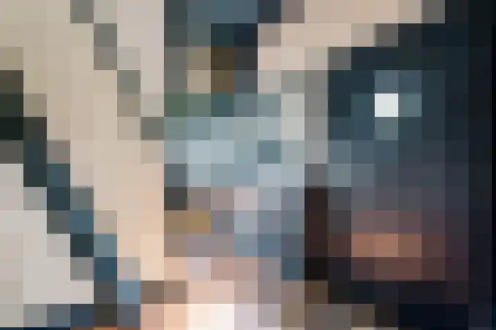 't Sou 44 Warns thumbnail 14