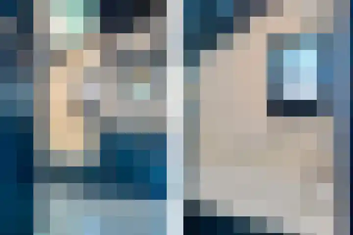't Sou 44 Warns thumbnail 22