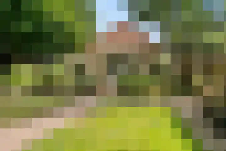 't Sou 44 Warns thumbnail 26