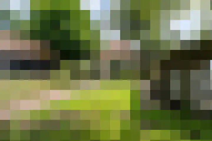 't Sou 44 Warns thumbnail 27