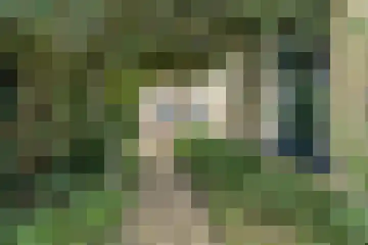 't Sou 44 Warns thumbnail 28