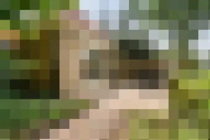 't Sou 44 Warns thumbnail 30