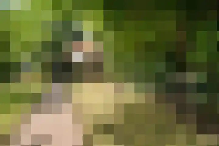 't Sou 44 Warns thumbnail 31