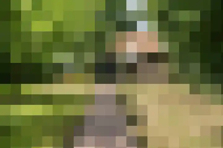't Sou 44 Warns thumbnail 32