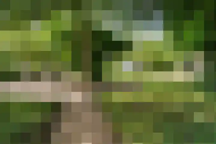 't Sou 44 Warns thumbnail 33