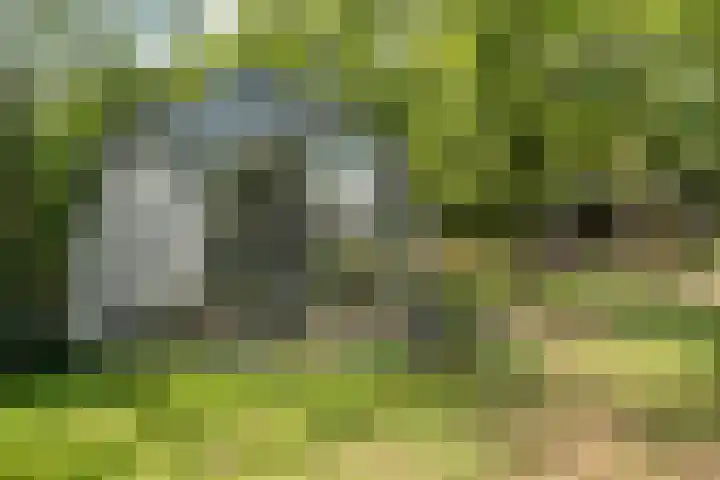 't Sou 44 Warns thumbnail 34