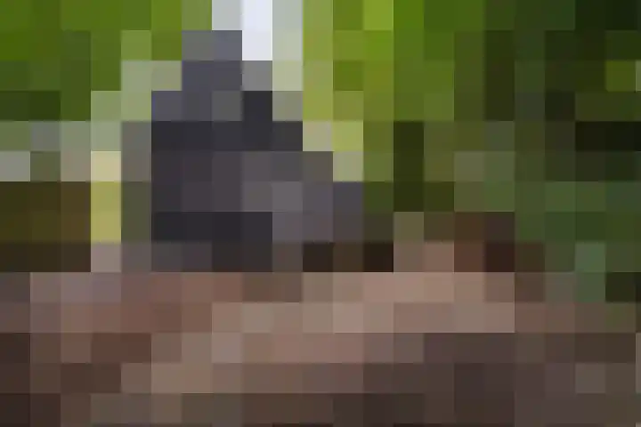 't Sou 44 Warns thumbnail 36