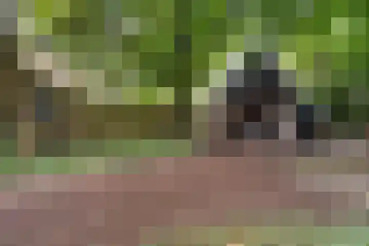 't Sou 44 Warns thumbnail 37